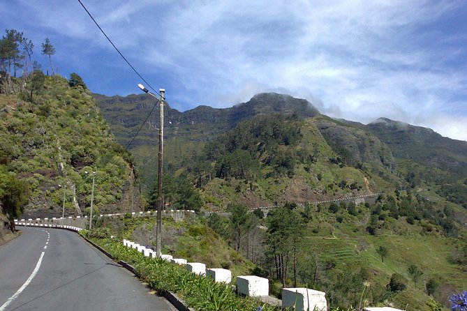 Private Waterfalls and Fanal Forest Tour - Porto Moniz and the longest stop of the day