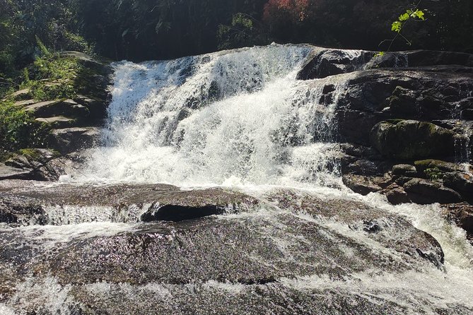 Private Waterfalls and Still Jeep 4x4 6hrs by Jango Paraty - The old Gold Trail and Murycana Farm