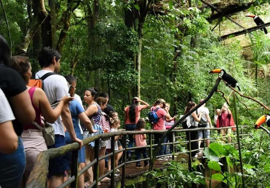 Puerto Iguazu: Iguaza Falls Brazilian Side & Bird Park Tour - Seeing Iguazu Falls from Brazil