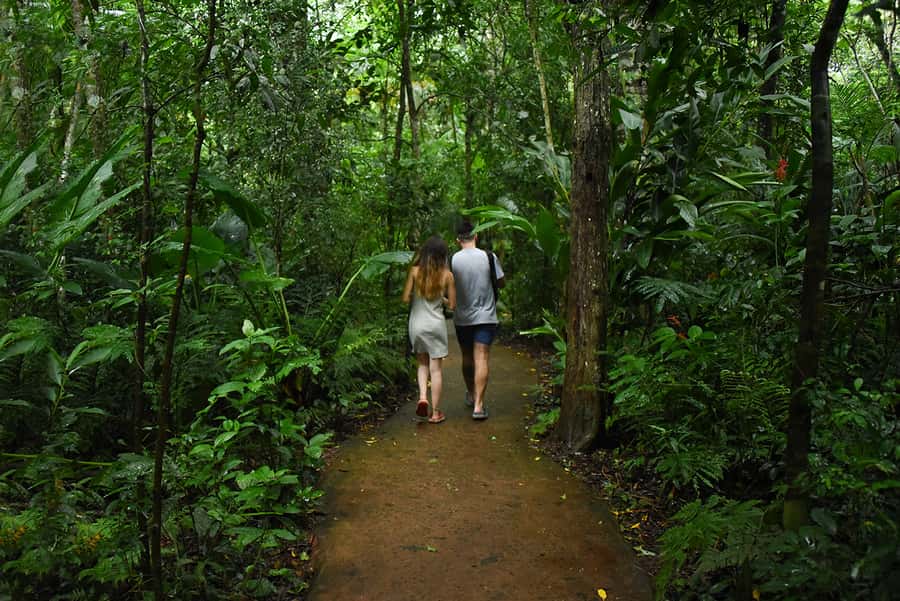 Puerto Iguazu: Iguaza Falls Brazilian Side & Bird Park Tour - Who should book this experience