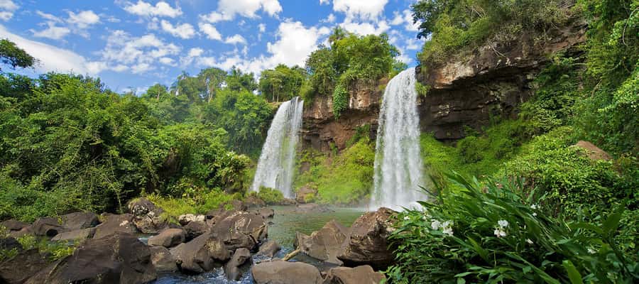 Puerto Iguazu: Iguazu Falls Argentinian Side Full-Day Tour - The ecological train and moving between circuits