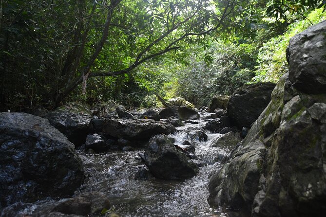 Puerto Rico Waterfall Hiking Tour: Discover Hidden Gems 2.0 - The real reward comes after the hard part