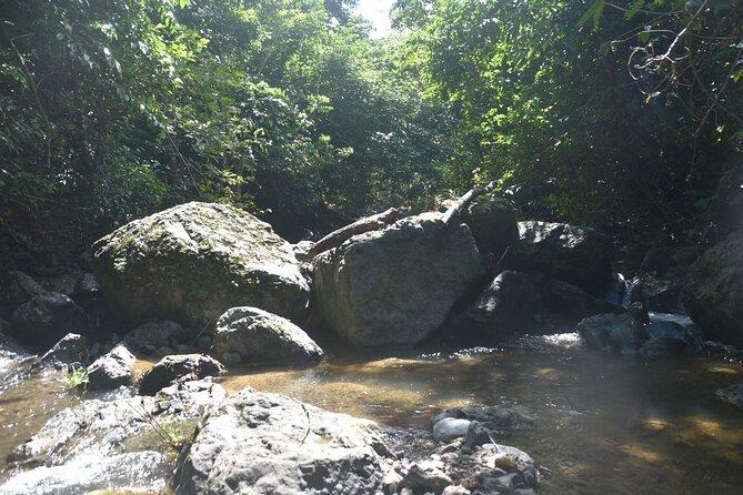 Puerto Rico Waterfall Hiking Tour: Discover Hidden Gems 2.0 - Manuel, Jesus, Jerry, and Isaac set the tone
