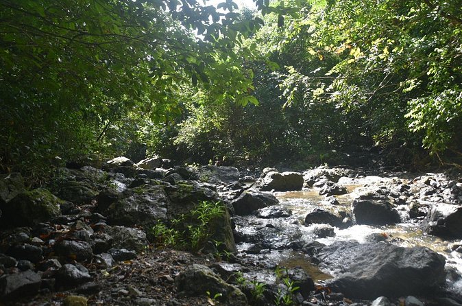 Puerto Rico Waterfall Hiking Tour: Discover Hidden Gems 2.0 - Swimming beneath the 130-foot waterfall