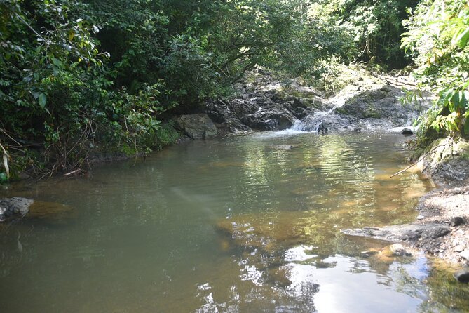 Puerto Rico Waterfall Hiking Tour: Discover Hidden Gems 2.0 - Who should book this hike?