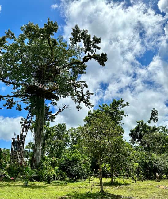 Punta Cana: 3-in-1 Adventure Haitises Park Waterfall Montaña - What to pack for a smoother day