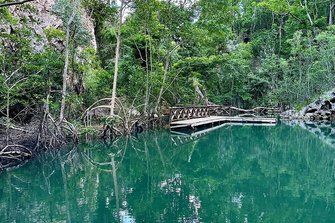 Punta Cana 3in1 Adventure: Los Haitises Park, Waterfall & Montaña - Montaña Redonda and its famous swings