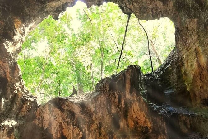 Punta Cana 3in1 Adventure: Los Haitises Park, Waterfall & Montaña - Yanigua Waterfall, cocoa, coffee, and clay
