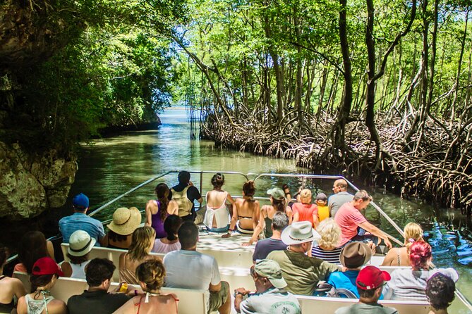 Punta Cana 3in1 Adventure: Los Haitises Park, Waterfall & Montaña - Through Miches and Sabana de la Mar
