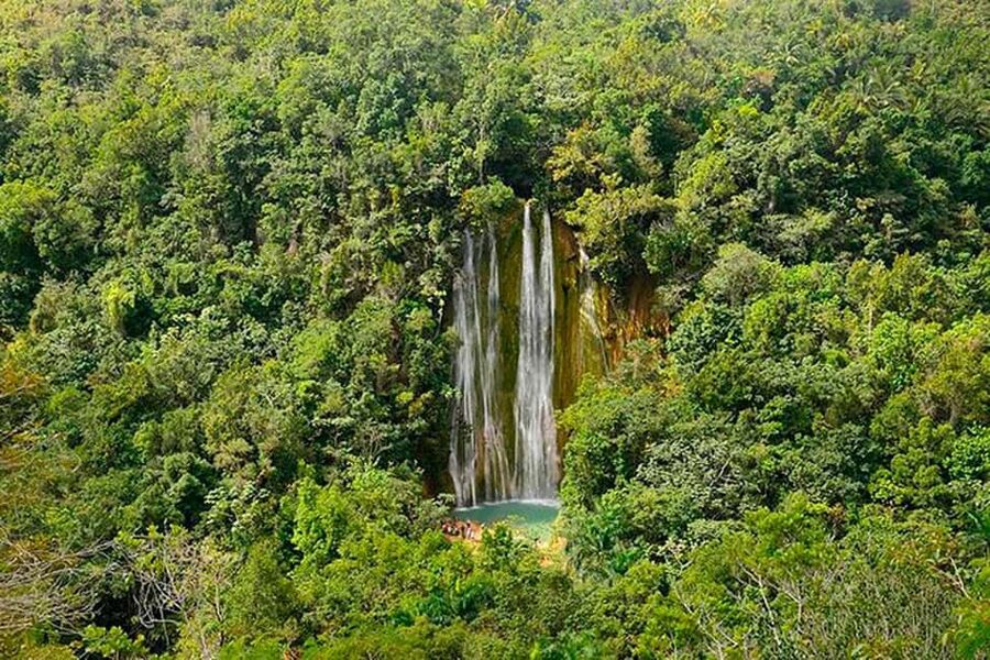 Punta Cana: Samaná Whale Watching, Bacardi & Limon Falls - Key points at a glance