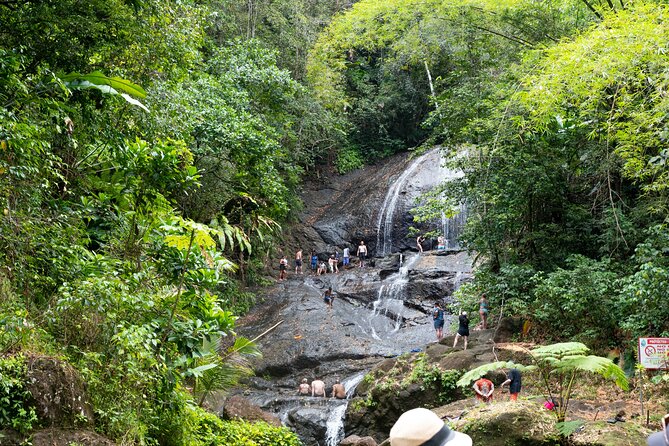 Rainforest Hike and Waterfall Safari - Fruit plantations and roadside Saint Lucia