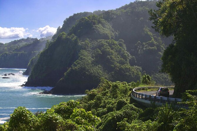 Rappel Maui Waterfalls and Rainforest Cliffs - Key details before you book