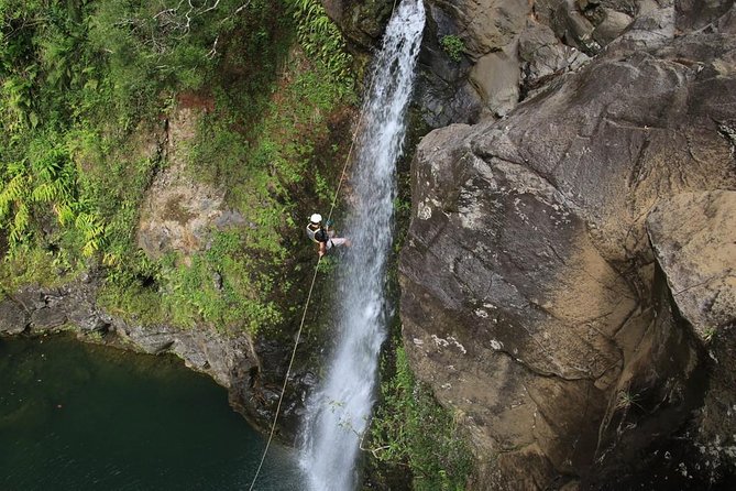 Rappel Maui Waterfalls and Rainforest Cliffs - Why this Maui adventure feels different