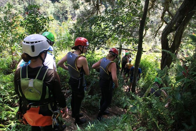 Rappel Maui Waterfalls and Rainforest Cliffs - What $240.84 buys you