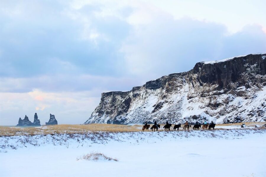 Reykjavik: South Coast Waterfalls & Glacier Small-Group Tour - Transport, comfort, and the pace of the day