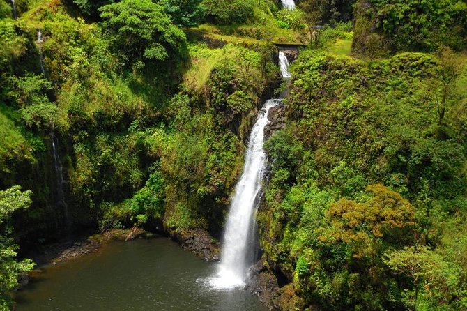Road To Hana Black Sand Beach Waterfalls & Turtles Tour - Keanae means banana bread and a short break