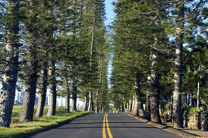 Road to Hana: Full-Day Scenic Drive with Blacksand & Waterfalls - Ho‘okipa Beach begins the coastal story