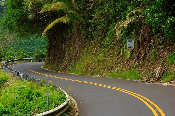 Road to Hana: Full-Day Scenic Drive with Blacksand & Waterfalls - Hana Farms and roadside food