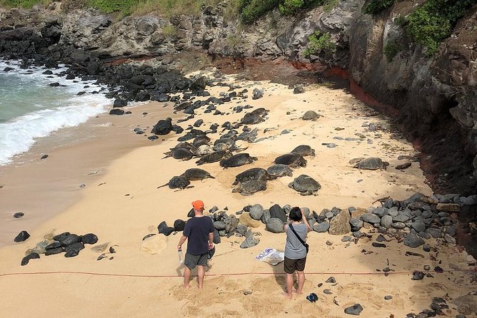 Road to Hana: Full-Day Scenic Drive with Blacksand & Waterfalls - Pua‘a Ka‘a brings the chance to swim