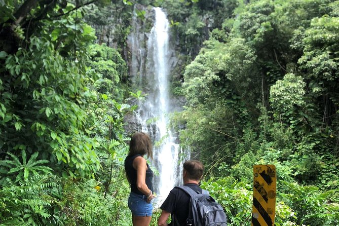 Road to Hana: Full-Day Scenic Drive with Blacksand & Waterfalls - Ke‘anae Point and the working side of Maui