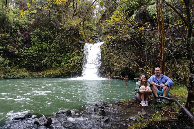 Road To Hana: Maui Waterfall Hiking Tour in Private Jeep - Walking beneath the bamboo forest
