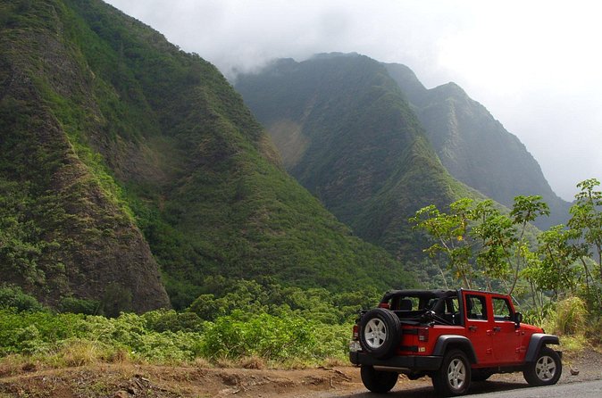 Road To Hana: Maui Waterfall Hiking Tour in Private Jeep - Photos and video without handing over your camera