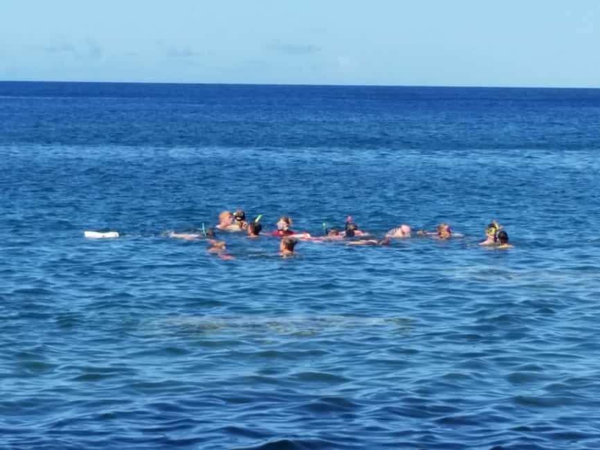 Roseau: Titou Gorge, Hot Spring, Falls & Champagne Reef Tour - The cool-water swim through Titou Gorge
