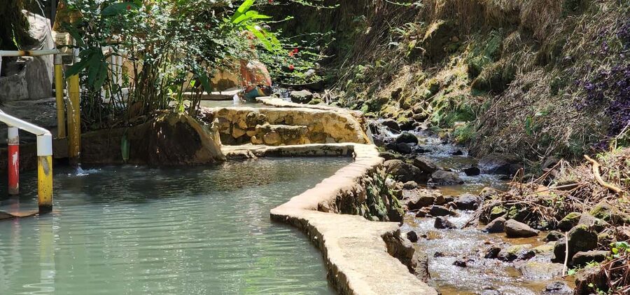 Roseau: Titou Gorge, Hot Spring, Falls & Champagne Reef Tour - Guides, buses, music, and group size