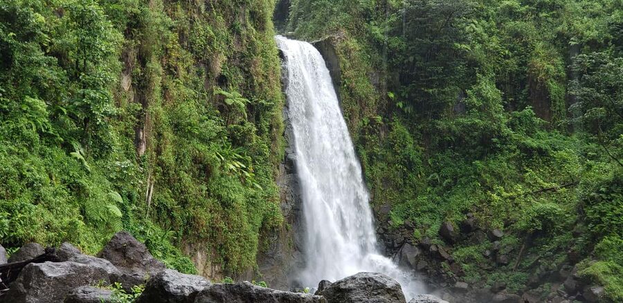 Roseau: Titou Gorge, Hot Spring, Falls & Champagne Reef Tour - Snorkeling over Dominica’s underwater volcano