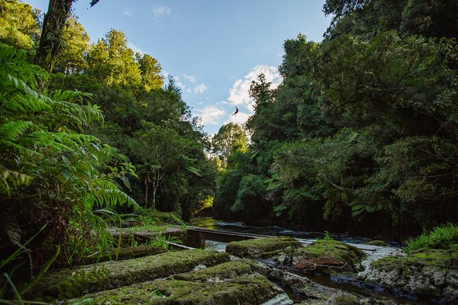 Rotorua Ziplines - Okere Falls Experience - Who will enjoy Okere Falls Ziplines most?