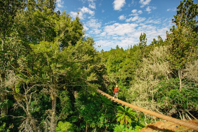 Rotorua Ziplines - Okere Falls Experience - Weather, timing, and practical planning
