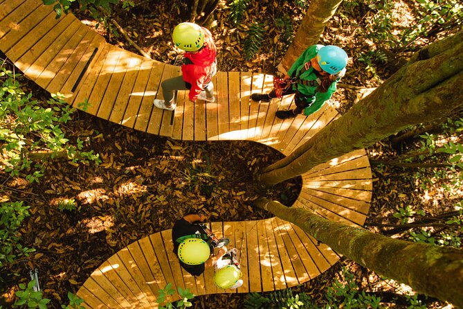 Rotorua Ziplines - Okere Falls Experience - What happens during the 2.5-hour course