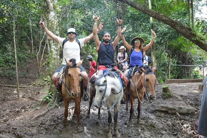 Samana - Key Levantado - Limon Waterfall - Horseback Riding - Food, drinks, and the early start