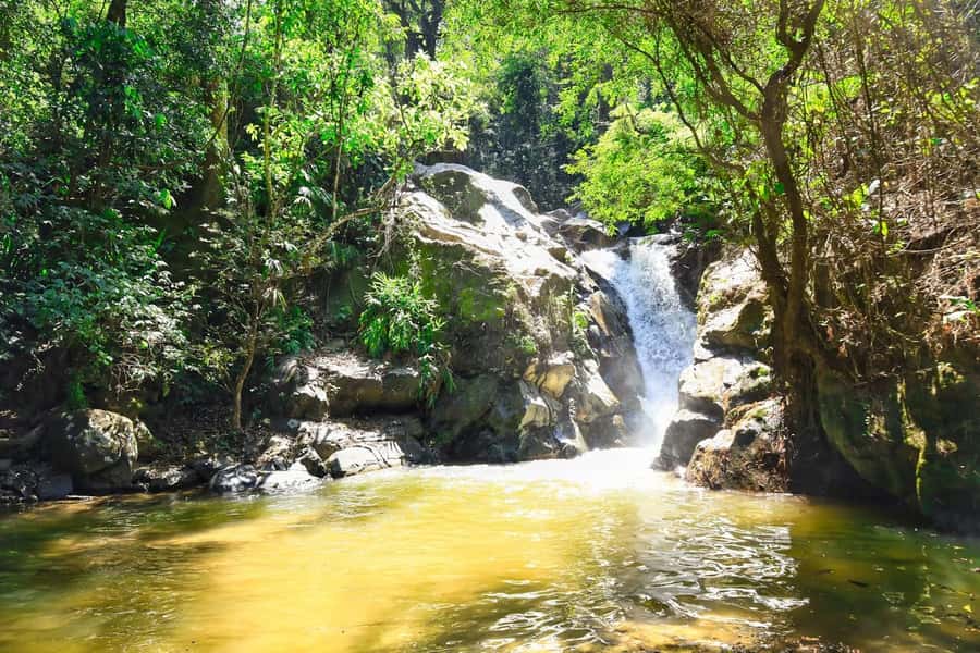 Santa Marta: Minca Coffee, Cocoa, & Waterfall Full-Day Trip - Cold river pools and a refreshing swim
