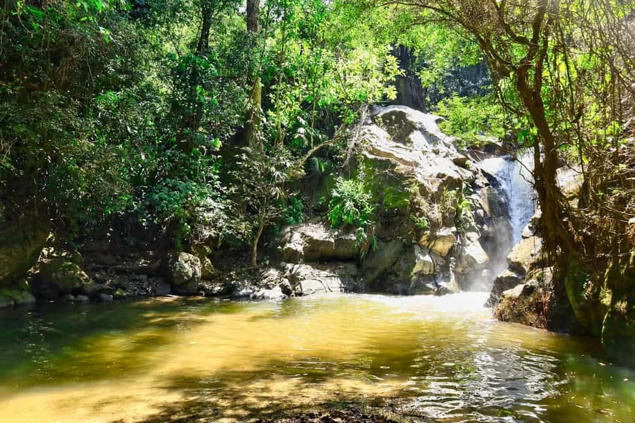 Santa Marta: Minca Coffee, Cocoa, & Waterfall Full-Day Trip - Cocoa making after lunch