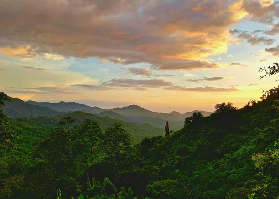 Santa Marta: Minca Coffee, Cocoa, & Waterfall Full-Day Trip - How the walking affects the day