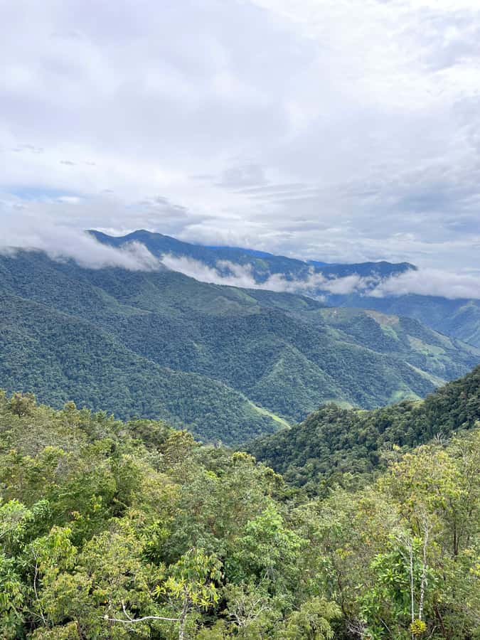 Santa Marta: Minca Coffee, Cocoa, & Waterfall Full-Day Trip - Who should book this Minca trip?