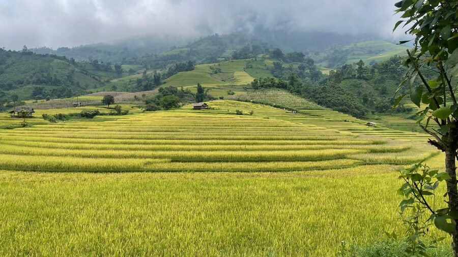 Sapa: Motorbike Tour 1 Day Visit Waterfalls & Local Villages - Silver Waterfall: a short walk with a big drop