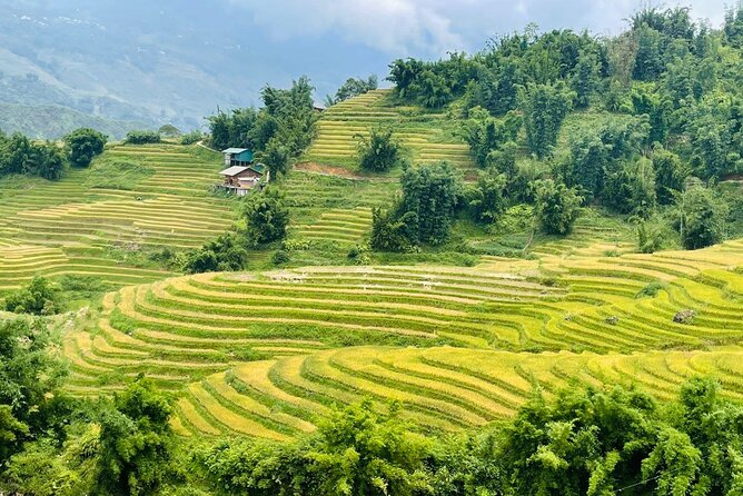 Sapa Motorbike Tour With Local Guide 1 Day - Waterfalls, Villages - Lunch is simple, local, and useful