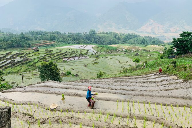 Sapa Motorbike Tour With Local Guide 1 Day - Waterfalls, Villages - Choosing your bike and driver