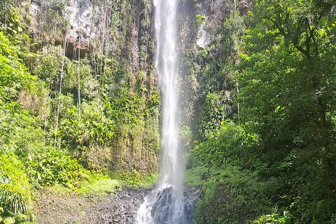 Scenic Tour of City and Rainforest, Waterfall, Sulphur Springs . - Dominica Botanic Gardens: a calmer look at island life