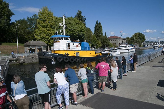 Seattle City and Snoqualmie Falls Half-Day Guided Tour - Why Snoqualmie Falls makes this more than a city tour