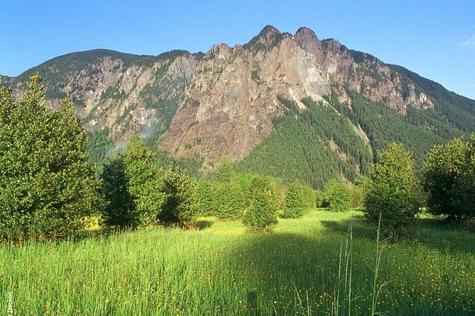 Seattle Wine & Snoqualmie Falls Highlights Tour - Snoqualmie Falls at 268 feet