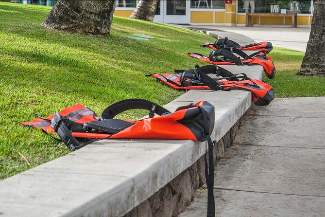 Secret Falls Kayak & Hike Guided Adventure on the Wailua River - What the $145.03 price includes