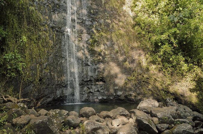 Self guided Hike Trail to Nature Walk & Waterfall - A rainforest walk close to Waikiki
