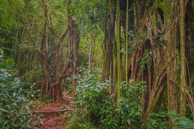 Self guided Hike Trail to Nature Walk & Waterfall - What the guides add to a public trail