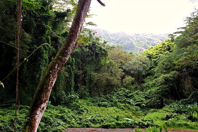 Self guided Hike Trail to Nature Walk & Waterfall - Shoes, rain, insects, and trail safety