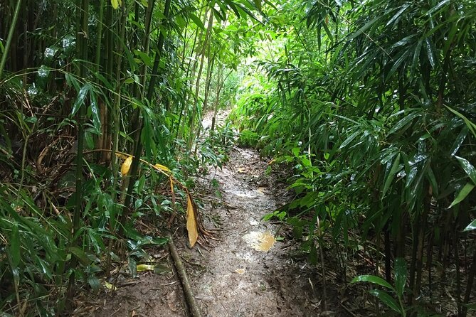 Self guided Hike Trail to Nature Walk & Waterfall - Pickup, group size, and timing