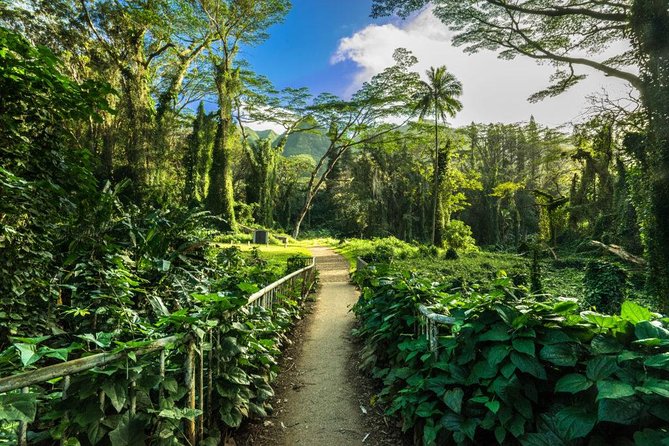 Self guided Hike Trail to Nature Walk & Waterfall - The waterfall’s movie connections