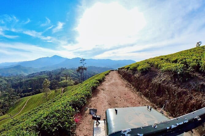 Sightseeing tour Ella & Diyaluma waterfall by car - Nine Arches Bridge and Ella’s railway country